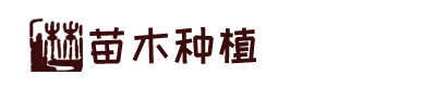 澳门金沙娱乐城官网